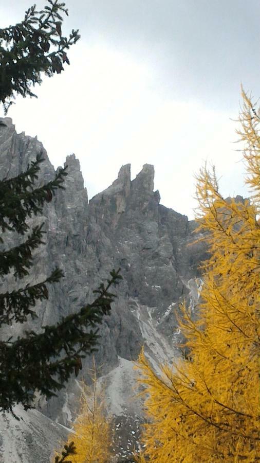 Apartament Balcone Sulle Dolomiti 2 Dosoledo Zewnętrze zdjęcie