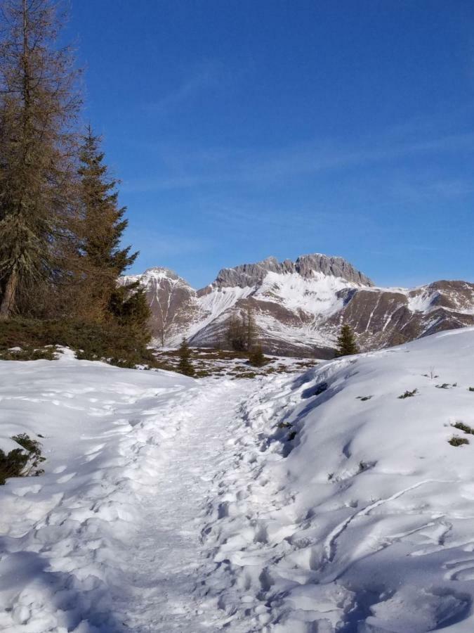 Apartament Balcone Sulle Dolomiti 2 Dosoledo Zewnętrze zdjęcie